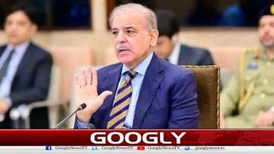 پاکستان کو برآمدات پر مبنی ترقی کی راہ اپنانا ہوگی،شہبازشریف 5 Pakistan must adopt the path of export-led development: Shahbaz Sharif