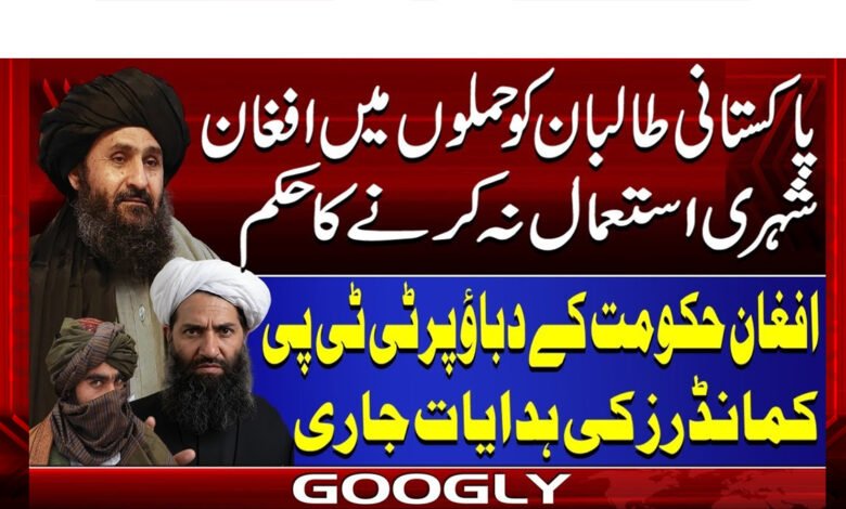 Pakistani Taliban ordered not to use Afghans