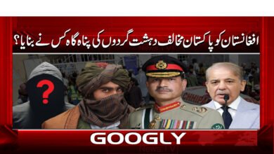 0 افغانستان دہشت گردوں کی پناہ گاہ