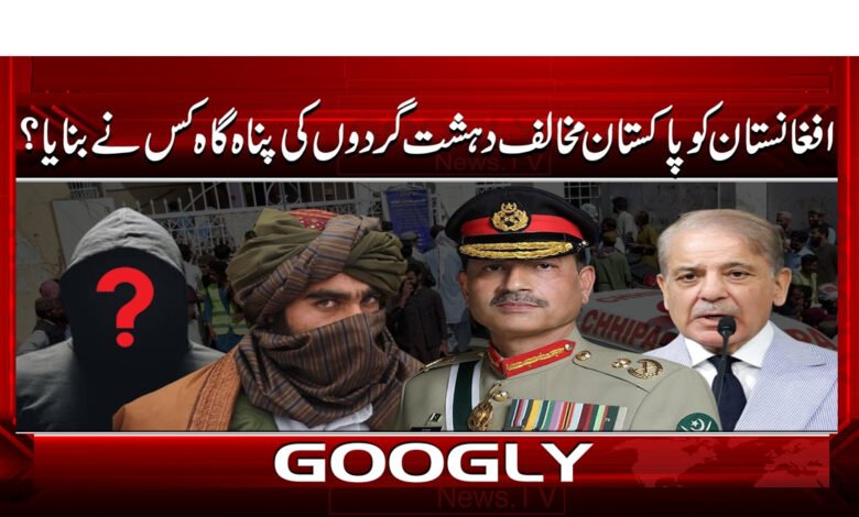 0 افغانستان دہشت گردوں کی پناہ گاہ