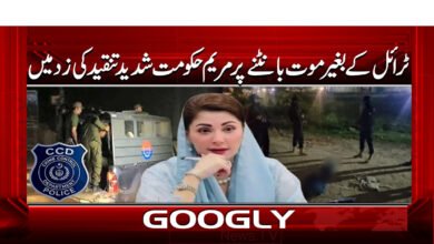 0 مریم حکومت شدید تنقید کی زد میں