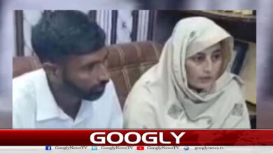 Sarabjit and Nasir: How did the Indo-Pakistani couple reunite?