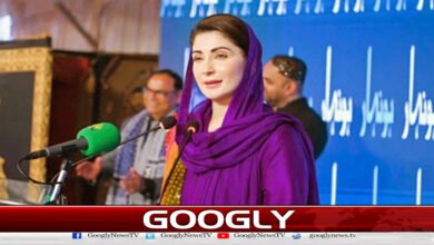 عمران خان کو جیل میں تمام سہولتیات دی جارہی ہیں : مریم نواز 5 Imran Khan is being given all facilities in jail: Maryam Nawaz