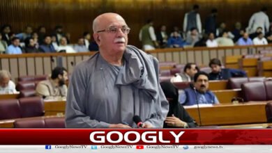 Federal Constitutional Court: Mahmood Achakzai's appointment as opposition leader challenged
