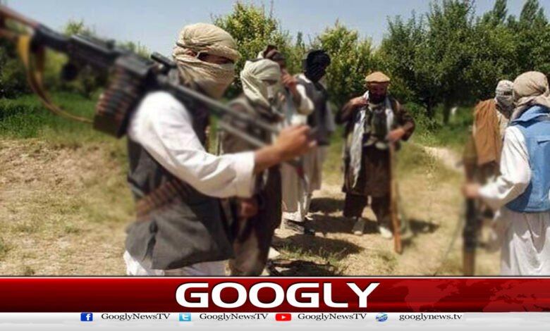 تحریک طالبان کی دہشت گردی کا خاتمہ ممکن کیوں نہیں ہو پایا؟ 1 Why was it not possible to end the terrorism of the Taliban movement?