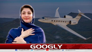 The plane scandal ruined Maryam's 2 years of hard work.