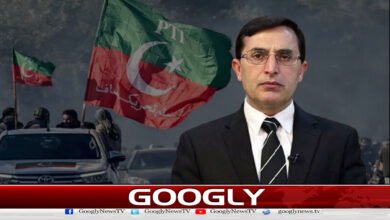 وکلا گروپ کی ناکامی کے بعد بیرسٹر گوہر کی چیئرمینی خطرے میں 5 Barrister Gohar's chairmanship in jeopardy after lawyers' group's failure