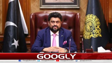 گورنر سندھ کا اپنی کرسی بچانے کے لیے بھائی لوگوں سے رابطہ 5 Sindh Governor contacts his brothers to save his seat