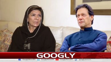Is Aleema benefiting or harming Imran through political point scoring?