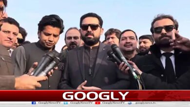 رہائی فورس کے قیام کے اعلان پر پی ٹی آئی میں پھوٹ پڑ گئی 5 PTI split over announcement of formation of Rahi Force