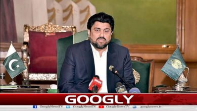 گورنر ٹیسوری کو بچانے کے لیے MQM کا صدر زرداری پر حملہ 5 MQM attacks President Zardari to save Governor Tesori