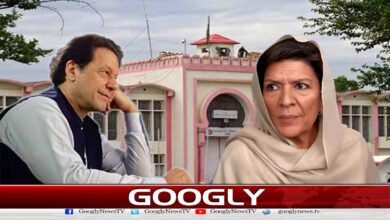 علیمہ خان ہی عمران خان کی رہائی میں بڑی رکاوٹ کیوں بن گئیں؟ 5 Why did Aleema Khan become the biggest obstacle to Imran Khan's release?