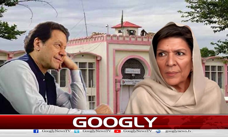 Why did Aleema Khan become the biggest obstacle to Imran Khan's release?