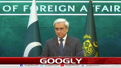 Heavy losses inflicted on terrorists in Operation Ghadb-ul-Haqq, says Foreign Office
