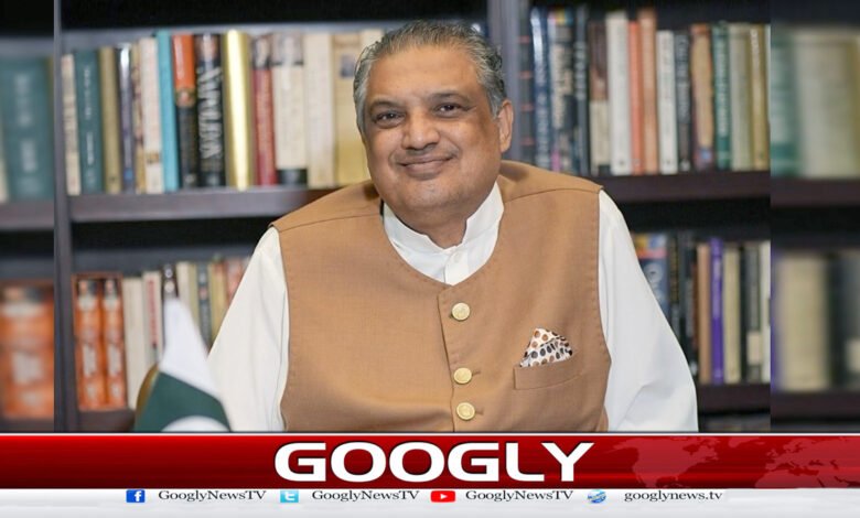 Fatima Bhutto: Stepmother and True 'Koko'