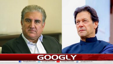 Government is responsible for Imran Khan's vision impairment: Shah Mehmood Qureshi