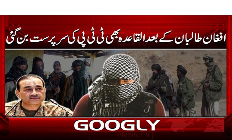 9 افغان طالبان کے بعد القاعدہ بھی 1