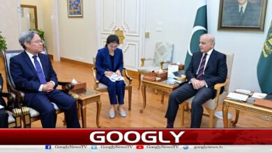 Chinese Ambassador meets Prime Minister, reiterates support for Pakistan's sovereignty