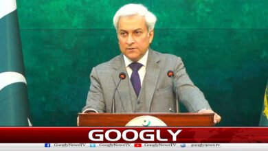 Pakistan Will Not Participate in Any Effort to Disarm Hamas, Foreign Office Spokesperson