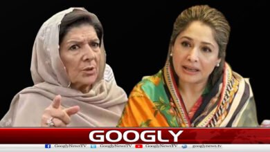 PTI کے اندرونی اختلافات میں شدت آگئی،علیمہ خان کے انٹرویو پر شاندانہ گلزار کا سخت ردعمل