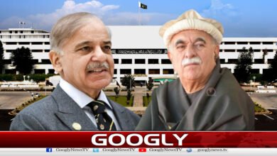 Why Did Sohail Warraich Once Again Propose the Idea of a National Government?