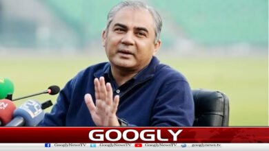 PTI and Aleema Khan Tried to Exacerbate Imran Khan’s Illness, Says Mohsin Naqvi