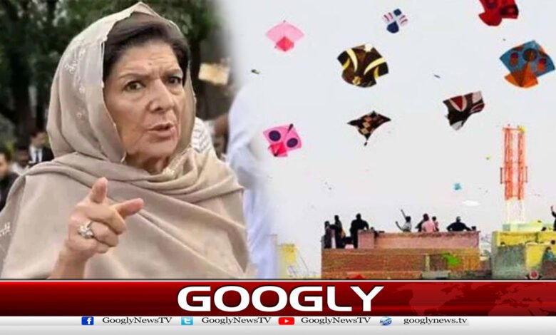 Who can stop Lahoreites, Aleema Khan admits to celebrating Basant