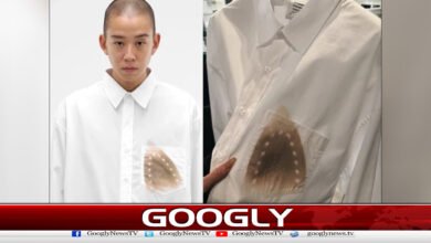 Introducing a shirt with an iron-on design