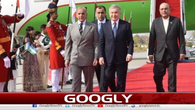 Uzbekistan President arrives in Pakistan, Pakistan Air Force planes present salute