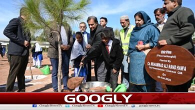 Chairman CDA inaugurates spring tree plantation campaign