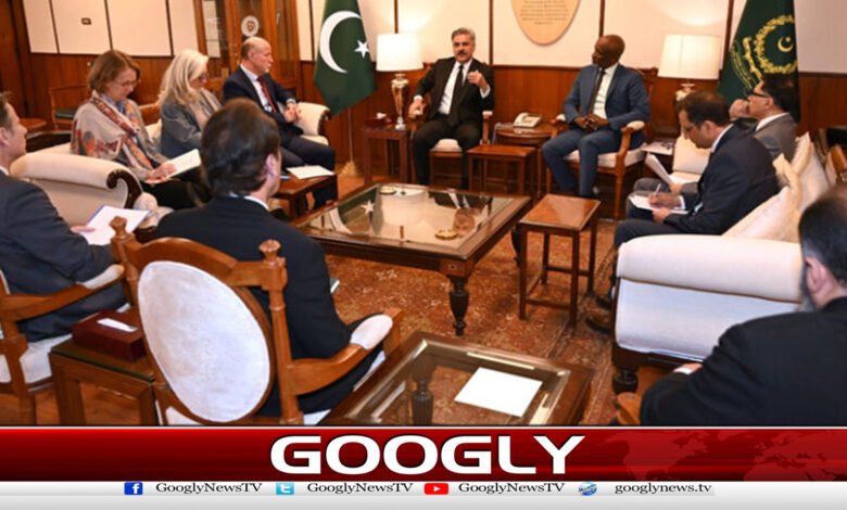 UN delegation meets Chief Justice, discusses justice system
