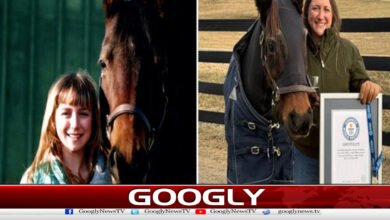 World's oldest horse holds Guinness World Record