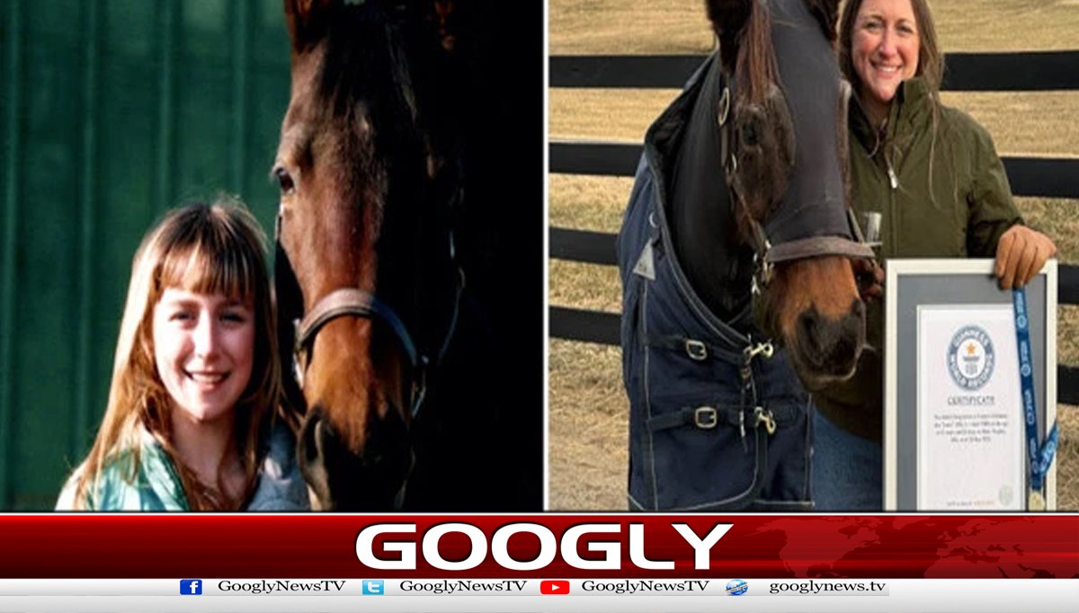 دنیا کے معمر ترین گھوڑے نے گنیز ورلڈ ریکارد حاصل کرلیا