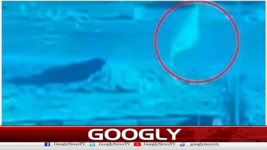 پاک فوج کے دندان شکن جواب کے بعد افغان طالبان نے چوکیوں پر سفید جھنڈے لہر دیئے 5 Pakistani Forces’ Crushing Counter Forces Taliban to Wave White Flags