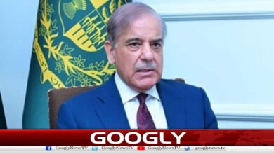 “ No Room for Compromise on Defense of Homeland, Says PM Sehbaz ”