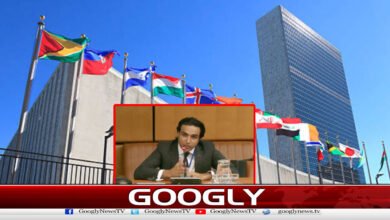 Pakistan Delivers Firm Response to India at the United Nations