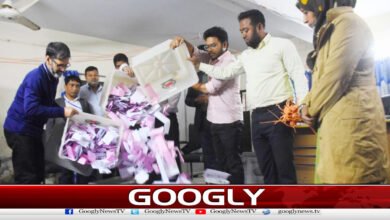 Bangladesh Referendum: Public Votes in Favor of Constitutional Amendments