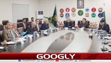 وزیر داخلہ محسن نقوی نے اسپینش ریذیڈنٹ کارڈ سے متعلق اجلاس میں اہم ہدایات جاری کردیں 5 Interior Minister Mohsin Naqvi Issues Key Directives on Spanish Resident Cards