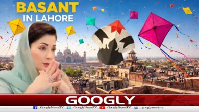 Can the Government Make Basant a Safe Festival?