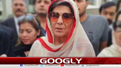 26 نومبر احتجاج کیس: علیمہ خان کے وارنٹ گرفتاری جاری 2 November 26 Protest Case: Arrest Warrant Issued for Aleema Khan