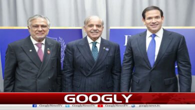 US Secretary of State Praises Pakistan’s Support and Participation in Gaza Peace Board