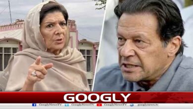 Aleema Khan Delivers Imran Khan’s Message: “Not Visible, Personal Doctors Must Be Allowed”
