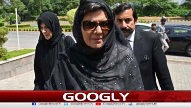 Non-Bailable Arrest Warrant Against Alima Khan Remains in Force