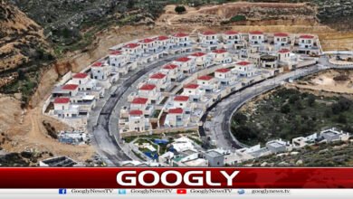 Global Outcry as Israel Moves to Annex West Bank Territories