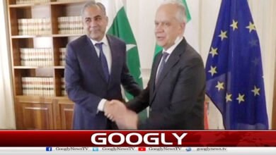 Mohsin Naqvi Meets Italian Counterpart, 10,500 Skilled Visas for Pakistan Announced