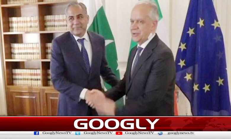 محسن نقوی سے ملاقات میں اطالوی ہم منصب کا پاکستان کو ساڑھے 10 ہزار سکلڈ ویزے دینے کا اعلان 1 Mohsin Naqvi Meets Italian Counterpart, 10,500 Skilled Visas for Pakistan Announced