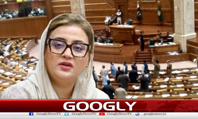 If Bilawal Can Roam on Govt Plane, This Is Punjab Govt’s Aircraft, Says Maryam’s Wish: Azma Bukhari