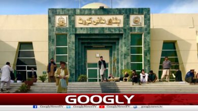 Peshawar High Court Takes Strict Action: Lawyer Punished for Abusing Woman Judge