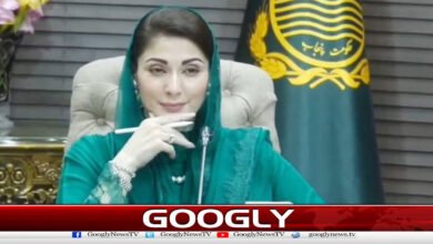 وزیراعلیٰ مریم نواز نے پولیس اصلاحات کیلئے تین ماہ کی ڈیڈ لائن مقرر کر دی 5 Maryam Nawaz Sets Firm Deadline for Police Reform Measures