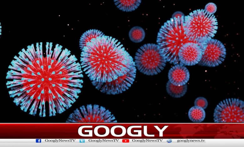پاکس وائرس عالمی وبا کا سبب بن سکتےہیں، ماہرین صحت نے خبردار کر دیا 1 Experts Warn: Pox Viruses Could Trigger a Global Pandemic